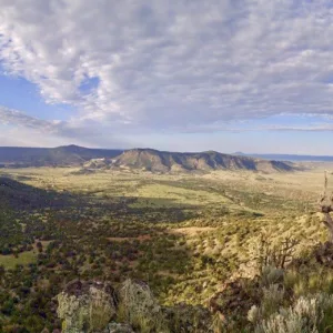 Landscape view of mesas and valleys in western New Mexico. Photo courtesy Chad Gaines.