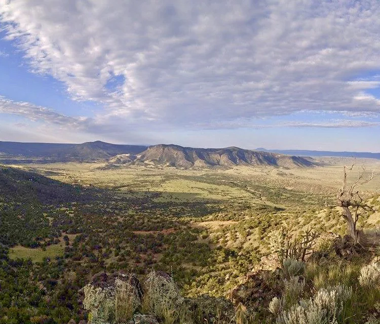 Landscape view of mesas and valleys in western New Mexico. Photo courtesy Chad Gaines.