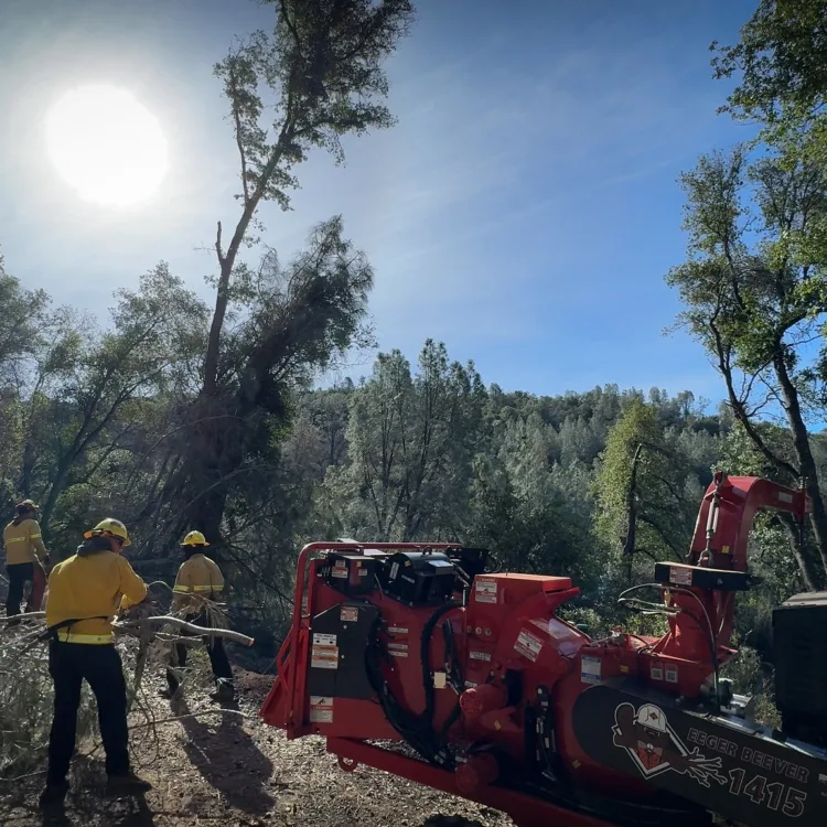 The Hogback Ridge Fuels Crew cleared brush along a road to Mount Konocti County Park, a busy recreation area.