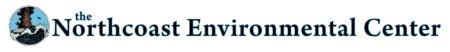 ECONEWS