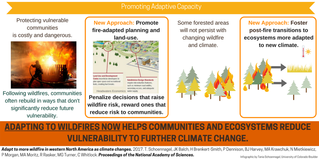 Wildfire Experts Paper Informs Effective Policy - 