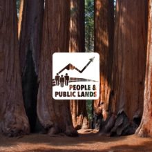 Public Lands Forum logo over image of the Sequoia Red Wood forest