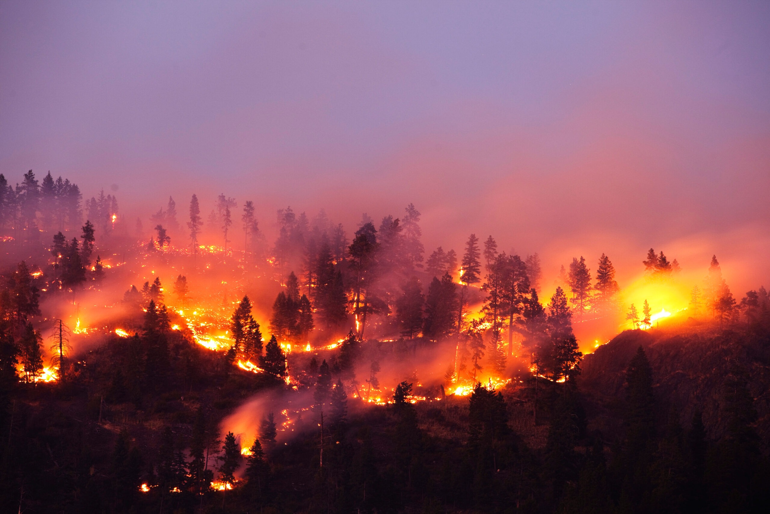 A wildfire burning at night in a forested mountain side.