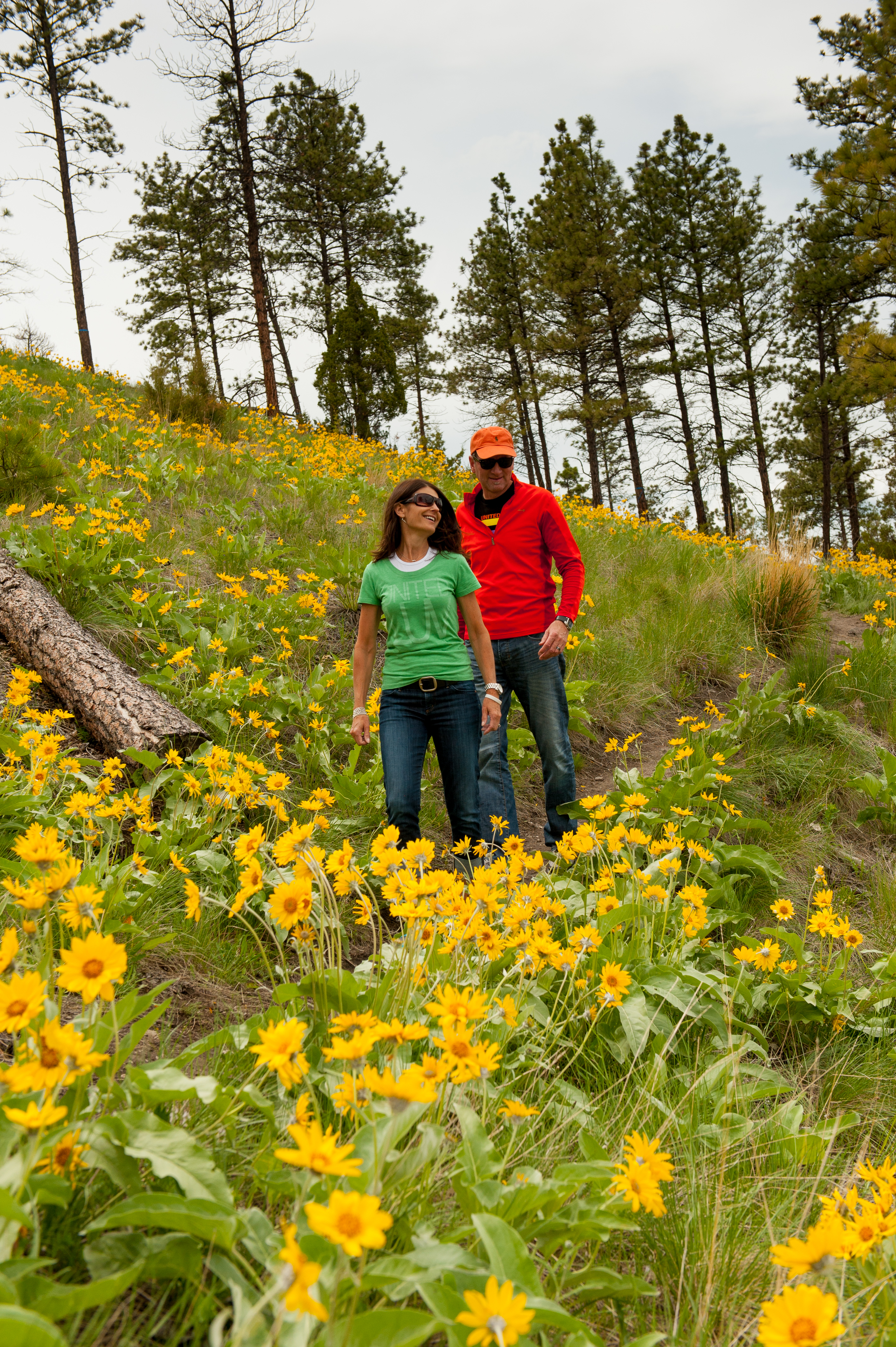 hiking near Helena