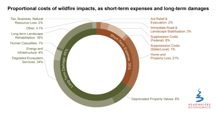 community cost wildfire
