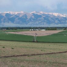 The Bridger Mountains with an agricultural field in the foreground, in Gallatin County, Montana.