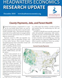 County Payments, Jobs, and Forest Health