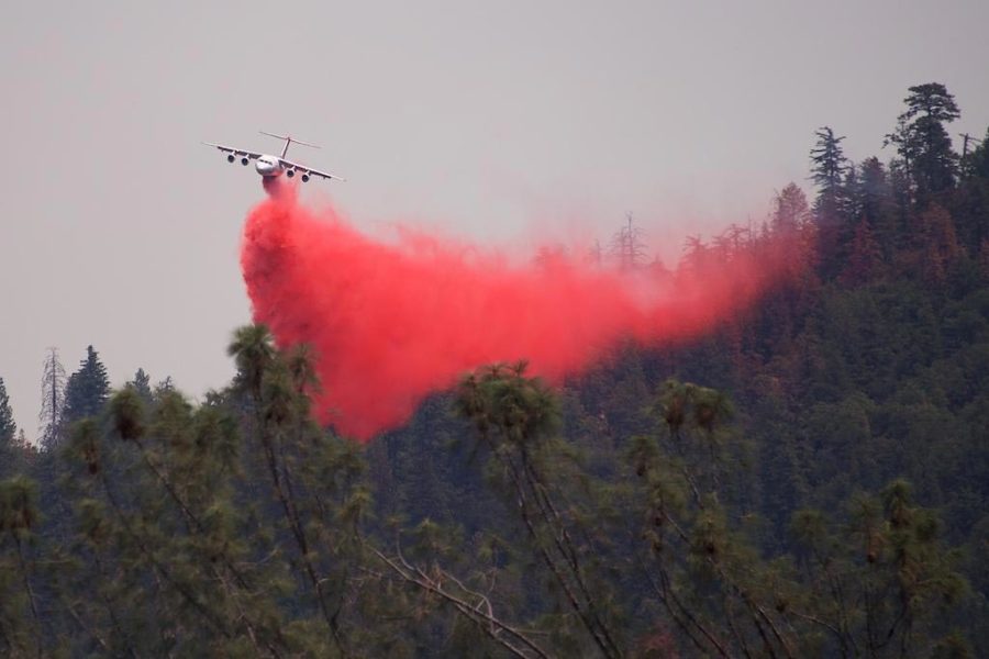 Federal wildfire policy and the legacy of suppression - Headwaters Economics