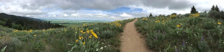 Panoramic image of the Triple Tree Trail in Bozeman, MT