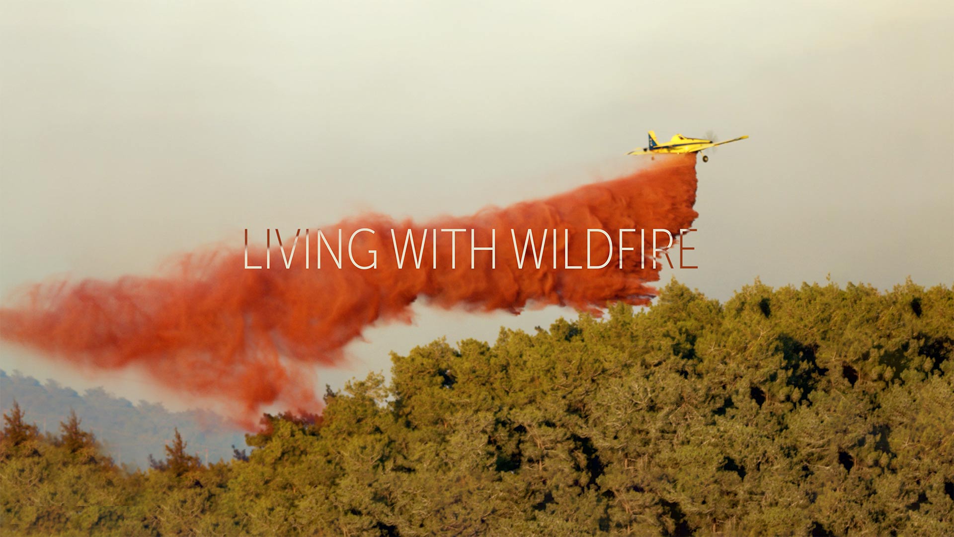 Living with wildfire