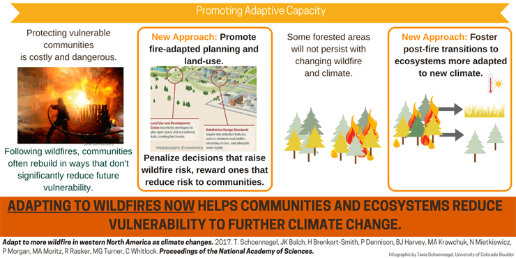 Adapt to more wildfire infographic