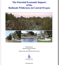 Badlands Wilderness study cover