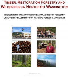 Timber, Restoration Forestry and Wilderness in Northeast Washington