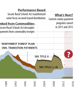 county_payments_timeline