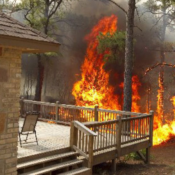 Does Insurance Affect Home Development on Wildfire-Prone Lands?