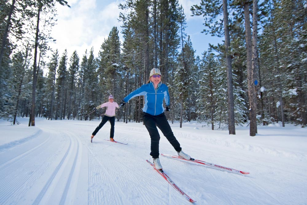 Cross-country skiers