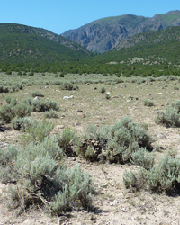 Public Lands Ranching in Southern Utah
