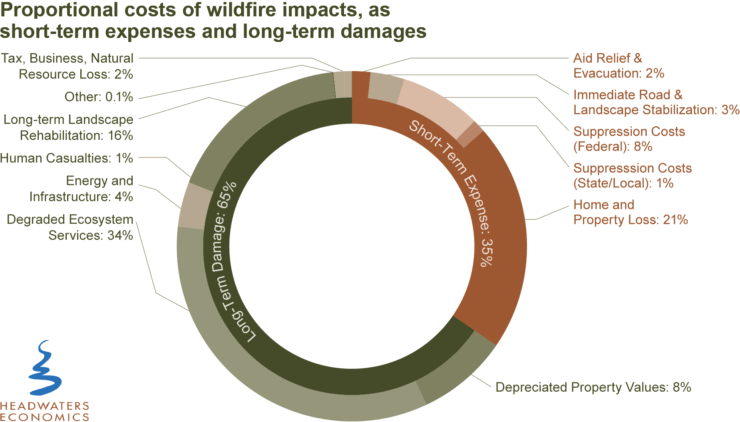 Proportional costs of wildfire impacts, as short-term expenses and long-term damages